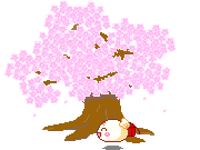 Cerisier